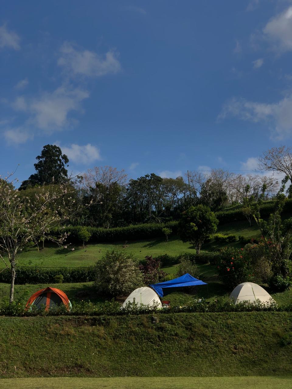 Camping Monteverde - Turín Costa Rica miniatura 39